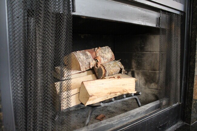 Wood-burning fireplace (functional) - 1726 Wallace St