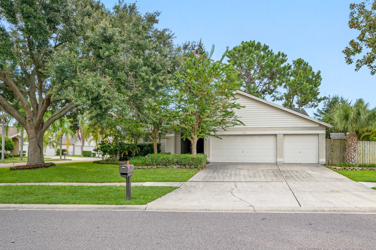 11502 Glenmont Dr, Tampa, FL 33635 House for Rent in Tampa, FL