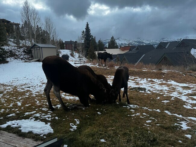 Foto del edificio - 303 Overlook Dr