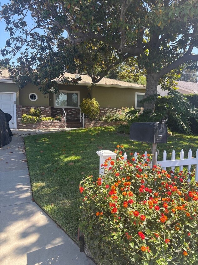 Primary Photo - Awesome Property