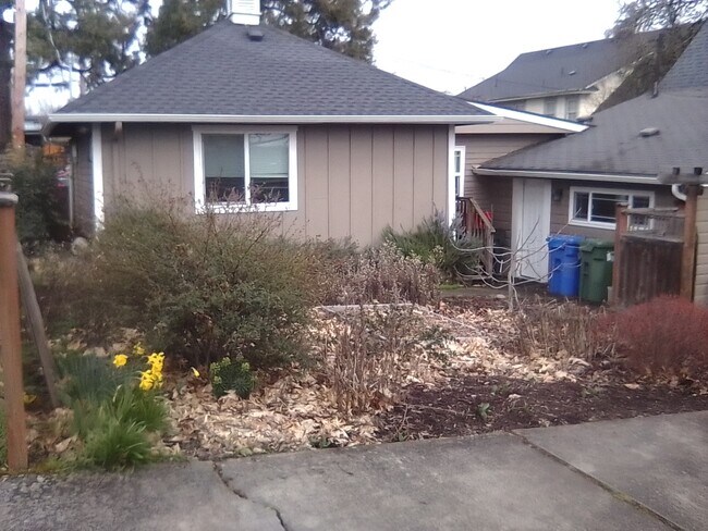 Front Yard (Winter) & Lg Ext. Room - 2345 Portland St