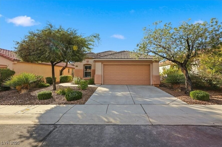 Primary Photo - 11239 Tribiani Ave