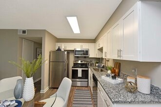 Kitchen + Granite Counters - Park 1Eleven