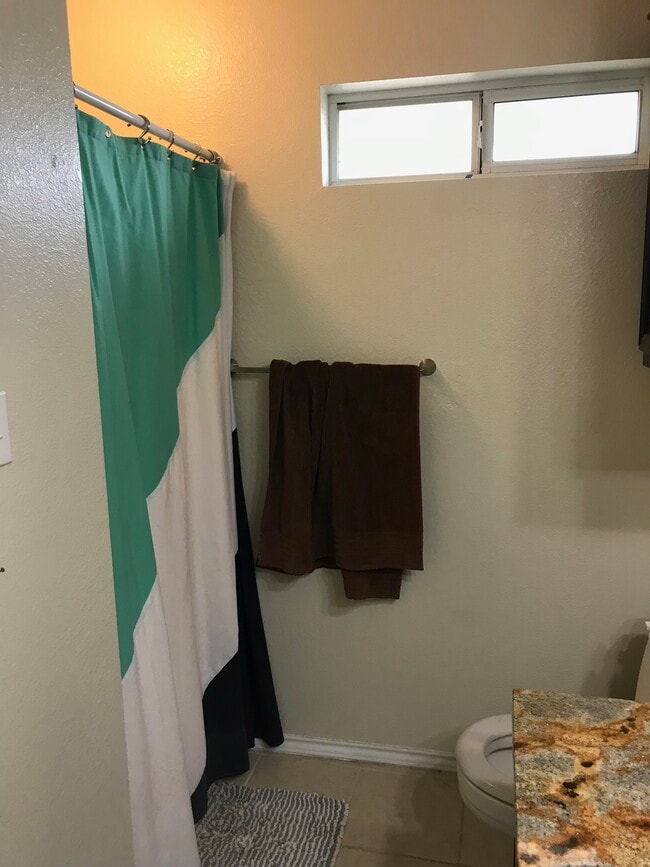 Master Bathroom shower. - 1801 Lexington Circle