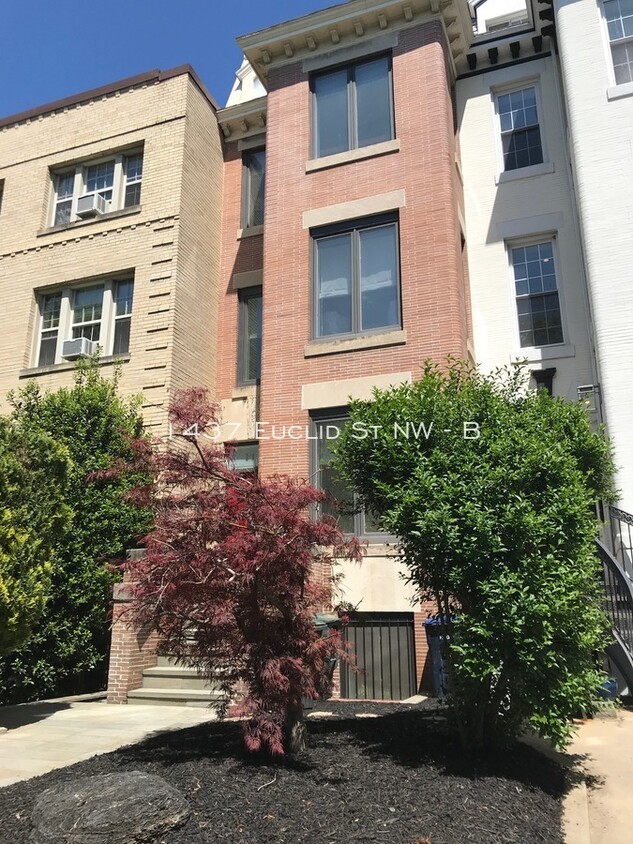 Primary Photo - 1437 Euclid St NW