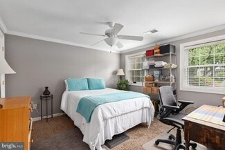 Building Photo - 4133 Novar Dr