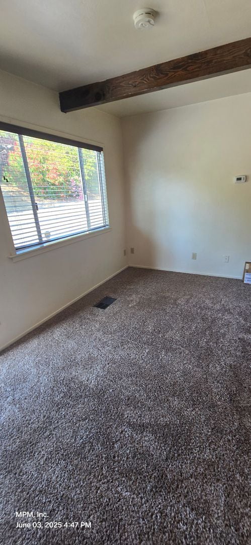 Building Photo - 1 bed 1 bath