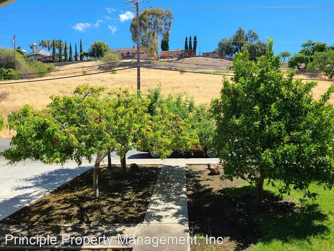 Foto del edificio - 4 br, 2 bath House - 1749 Old Piedmont Rd