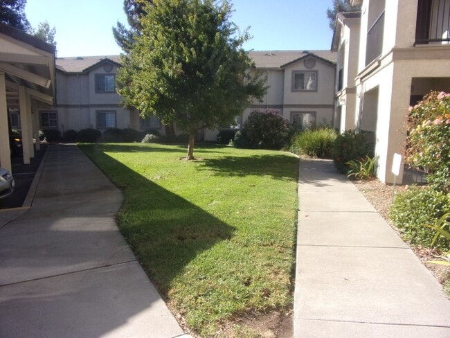 Building Photo - Oaks Senior Commons