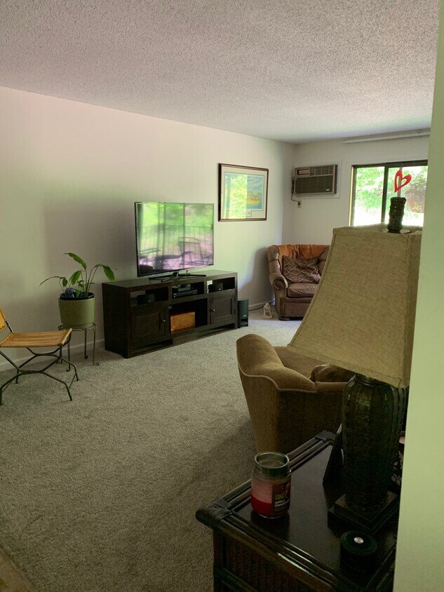 215 Barry Ave S Unit 212, Wayzata, MN 55391 Condo for Rent in Wayzata, MN