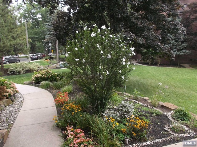 Foto del edificio - 3081 Edwin Ave