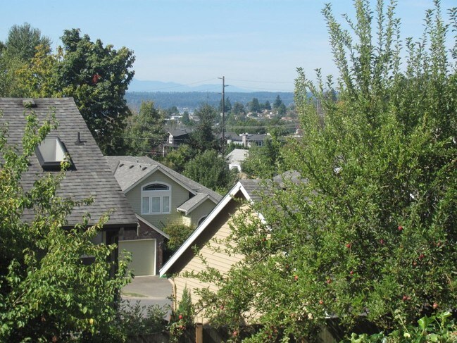 View - 1115 Kirkland Ave