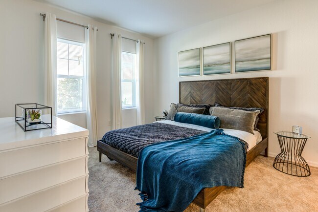 affinity apartments tampa fl apartments com