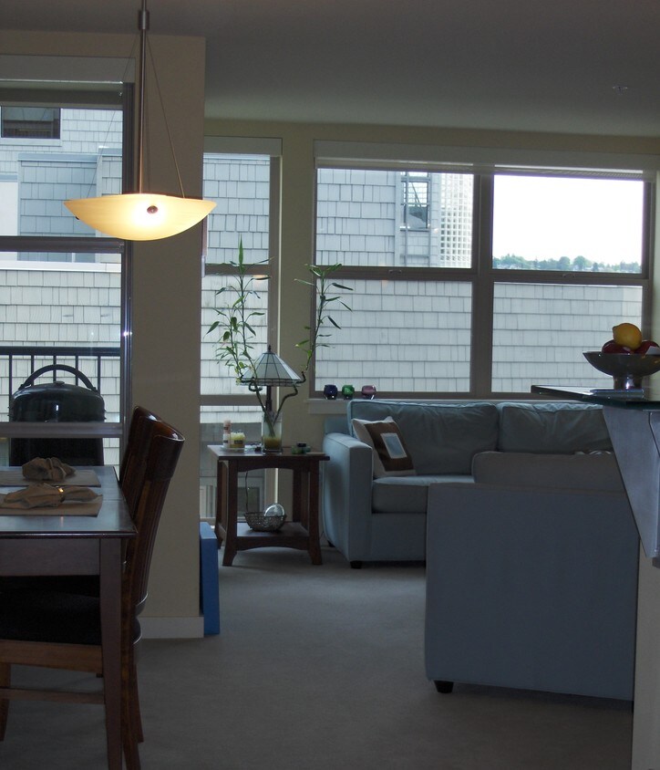 Living Area - 1310 N Lucas Pl