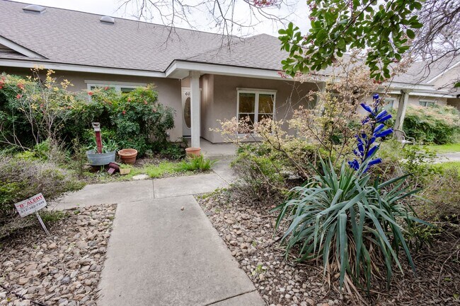 Building Photo - Prime Location Gem in the Heart of San Marcos