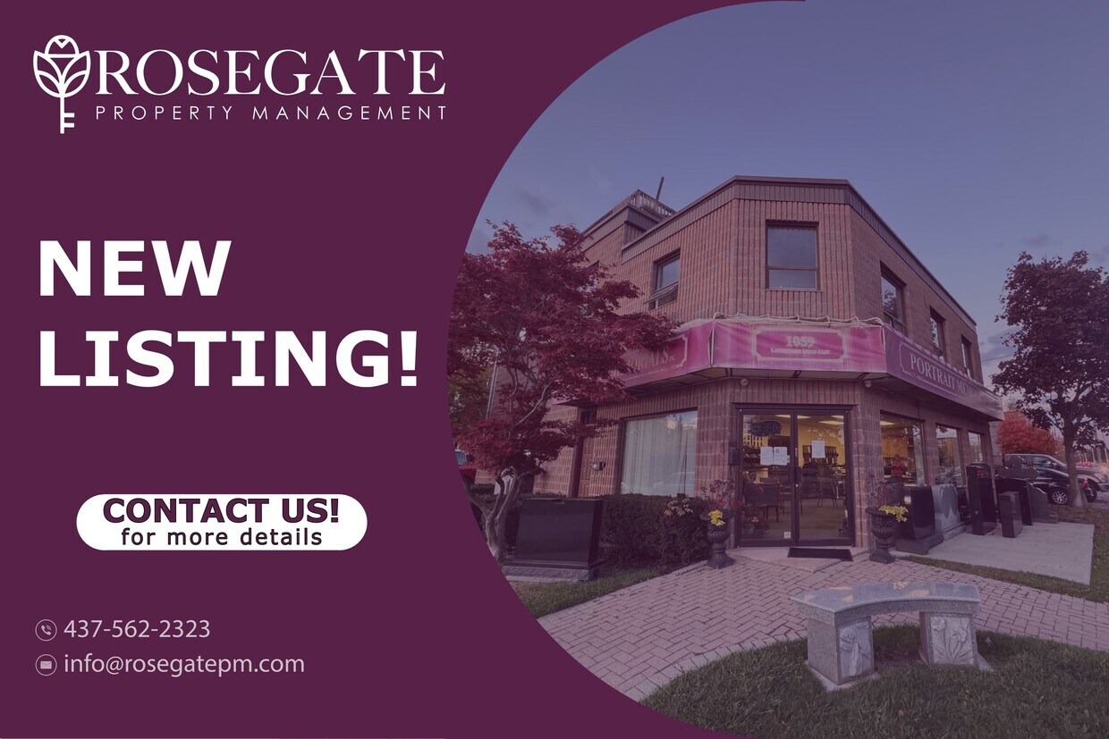 Photo principale - Spacious Open-Concept Studio Basement Apar...