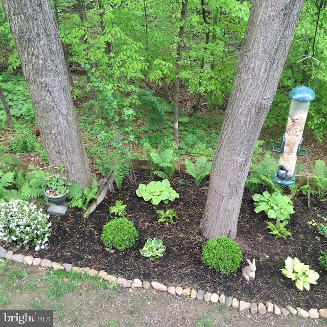 Foto principal - 1444 Timber Chase Dr