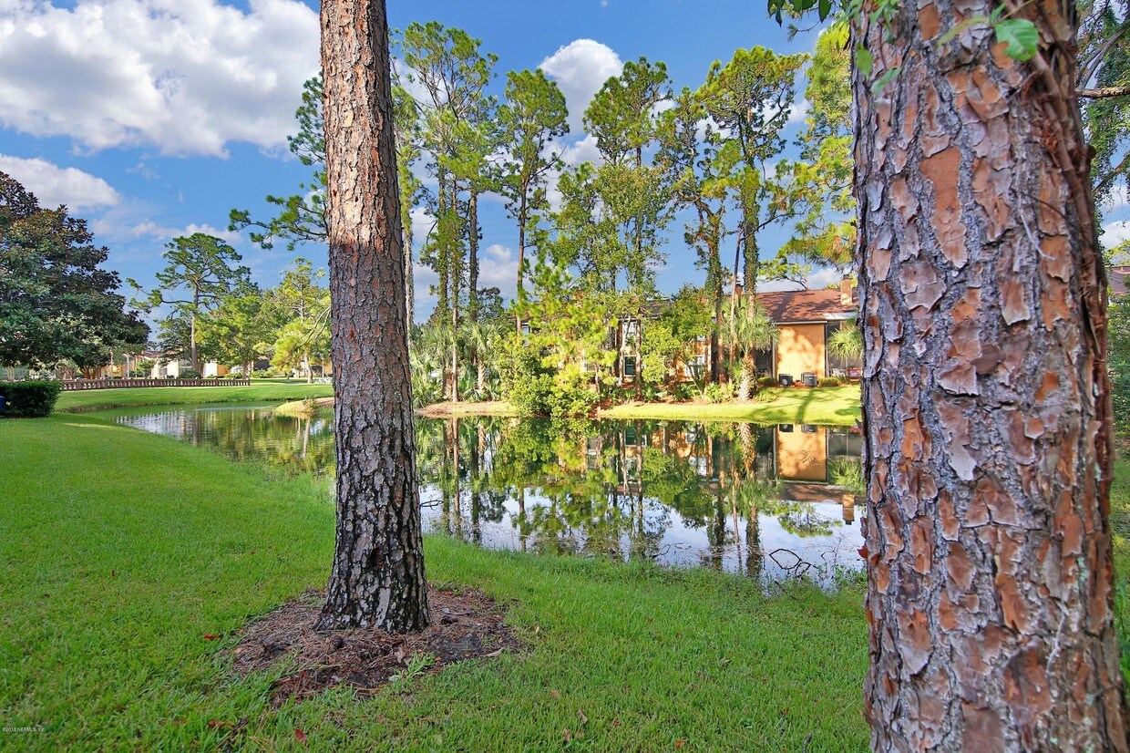 Foto principal - 828 Shoreline Cir