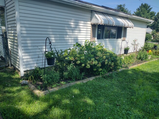 Back yard looking to two car garage - 211 S 19th St