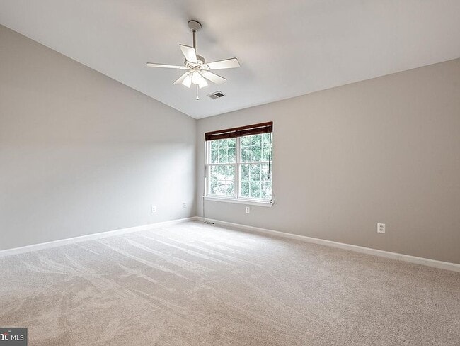 New Upper and Lower Carpet - 517 Ginkgo Ter NE