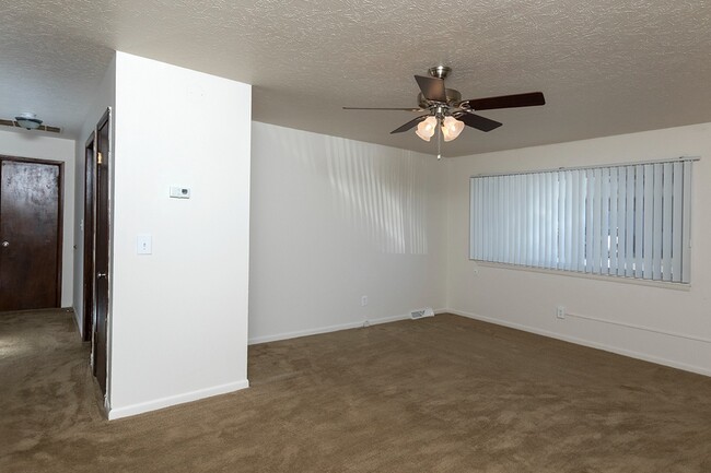 Living Area/Kitchen - Cherry Lane