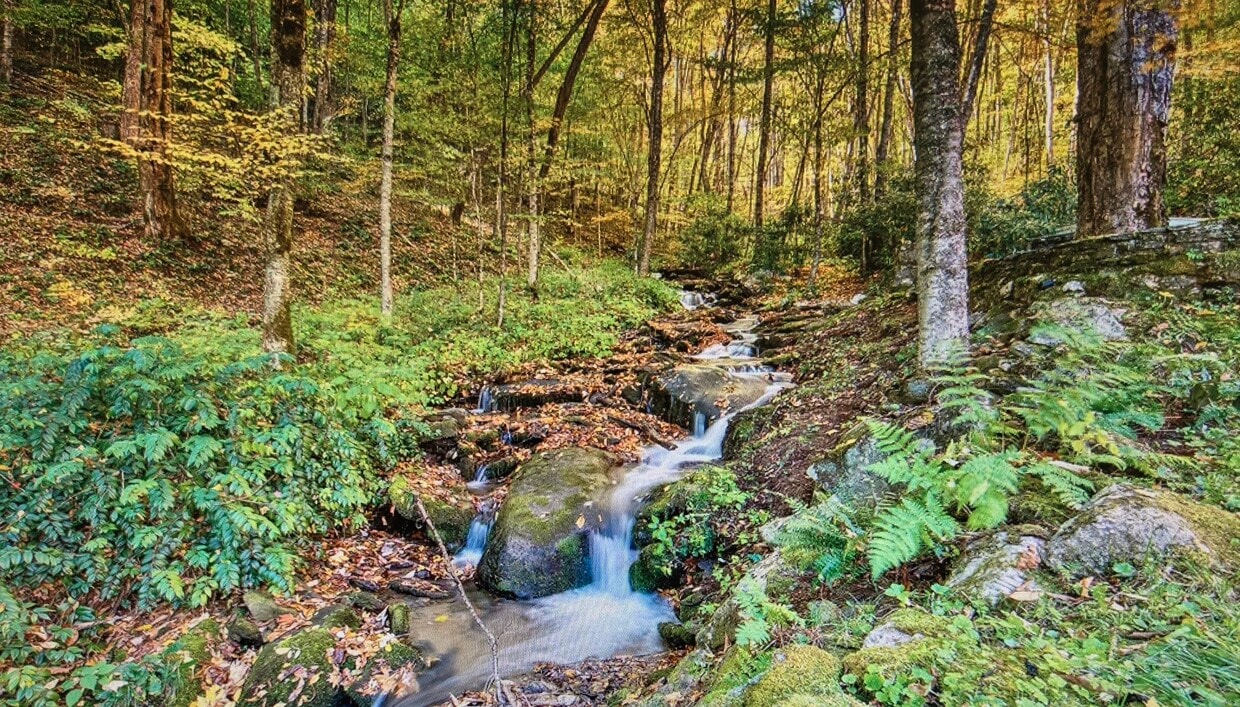Photo - 65 Ocala Rd (Maggie Valley, NC)
