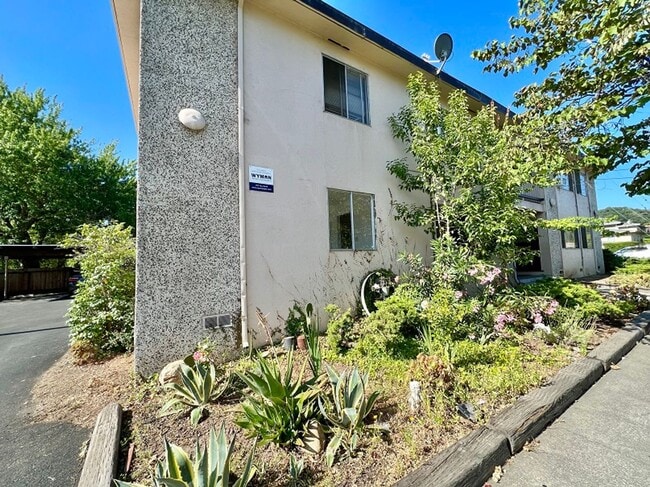 Building Photo - 2471 Old Sonoma Rd