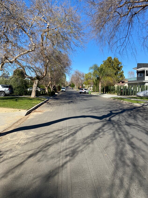 Tree Lined Street - 4825 Arcola Ave
