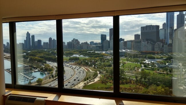 Foto del edificio - 155 N Harbor Dr