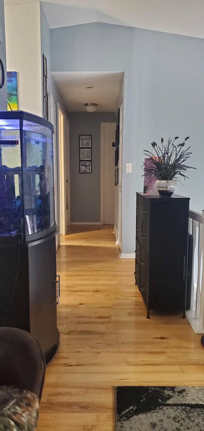 842 Robin rd, Amherst, NY 14228 House Rental in Amherst, NY