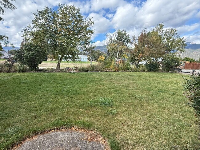 Foto del edificio - 3 bed 2.5 bath Victor home with pasture.
