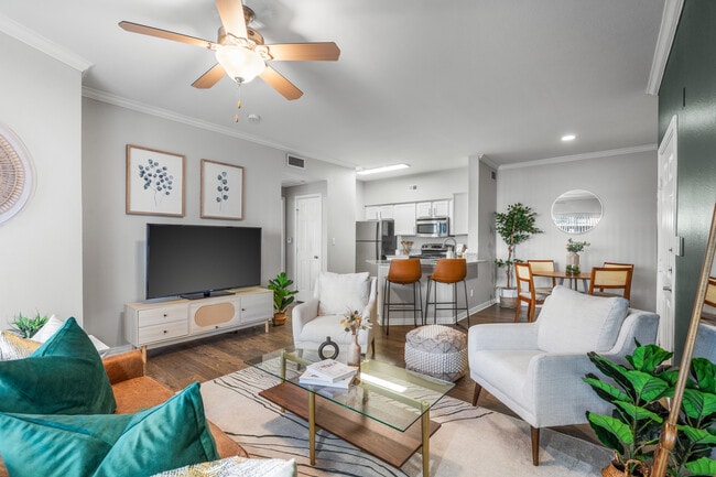 1BR, 1BA - 689SF - Living Room - Vue 360