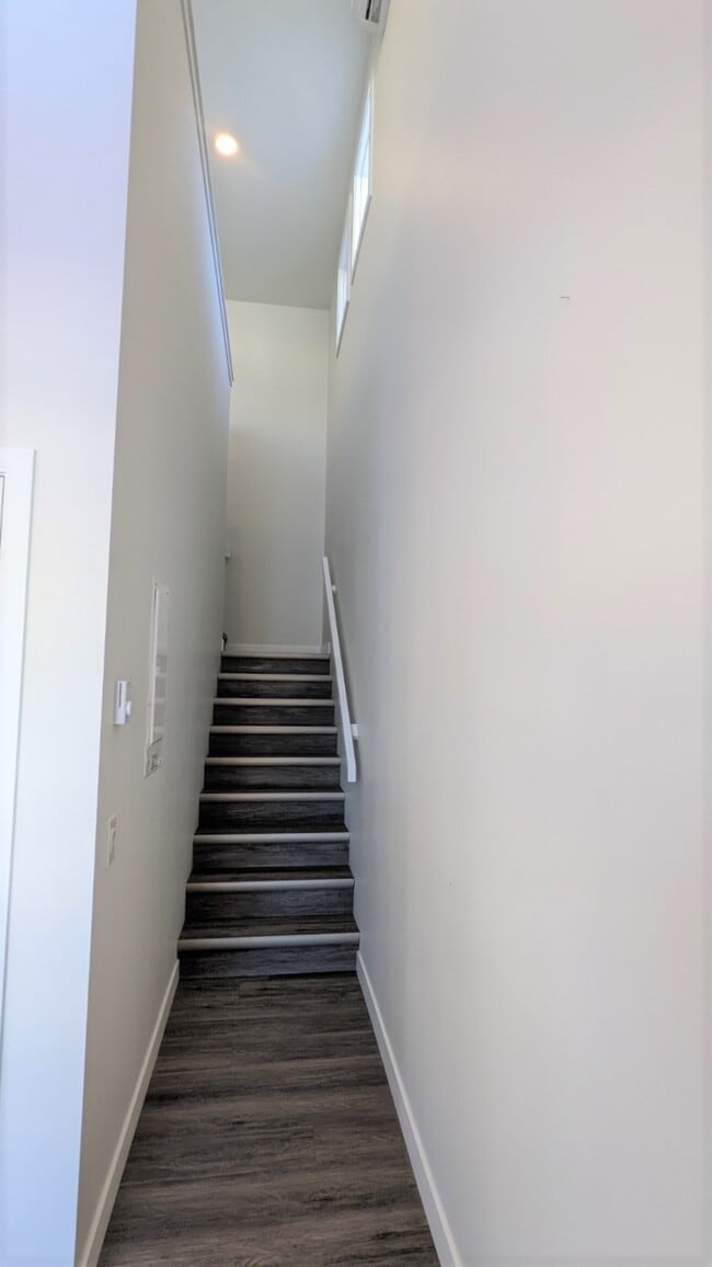Building Photo - 256-256 Balmoral St