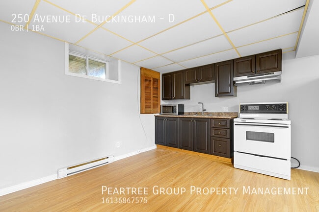 Building Photo - Beautiful Buckingham Basement-Studio for R...