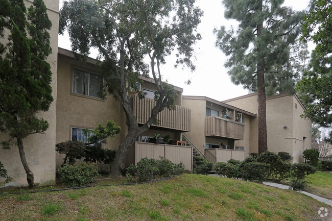 Vista al edificio - ELEVATE APARTMENT HOMES