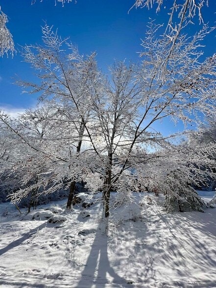 Foto del edificio - 5451 River Rd