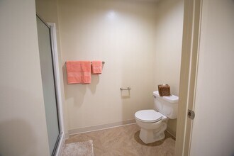 Interior Photo - Gold Coast Apartments