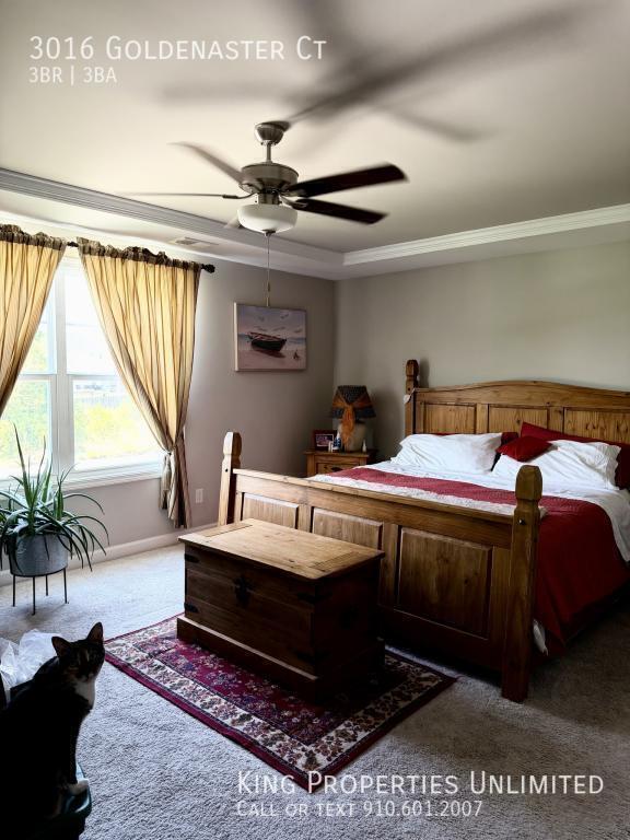 Foto del edificio - 3016 Goldenaster Ct