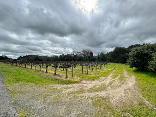 Building Photo - Three Bedroom St. Helena Home with Beautif...