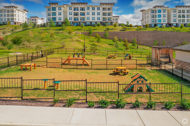 Dog Park - Reveal Skyline