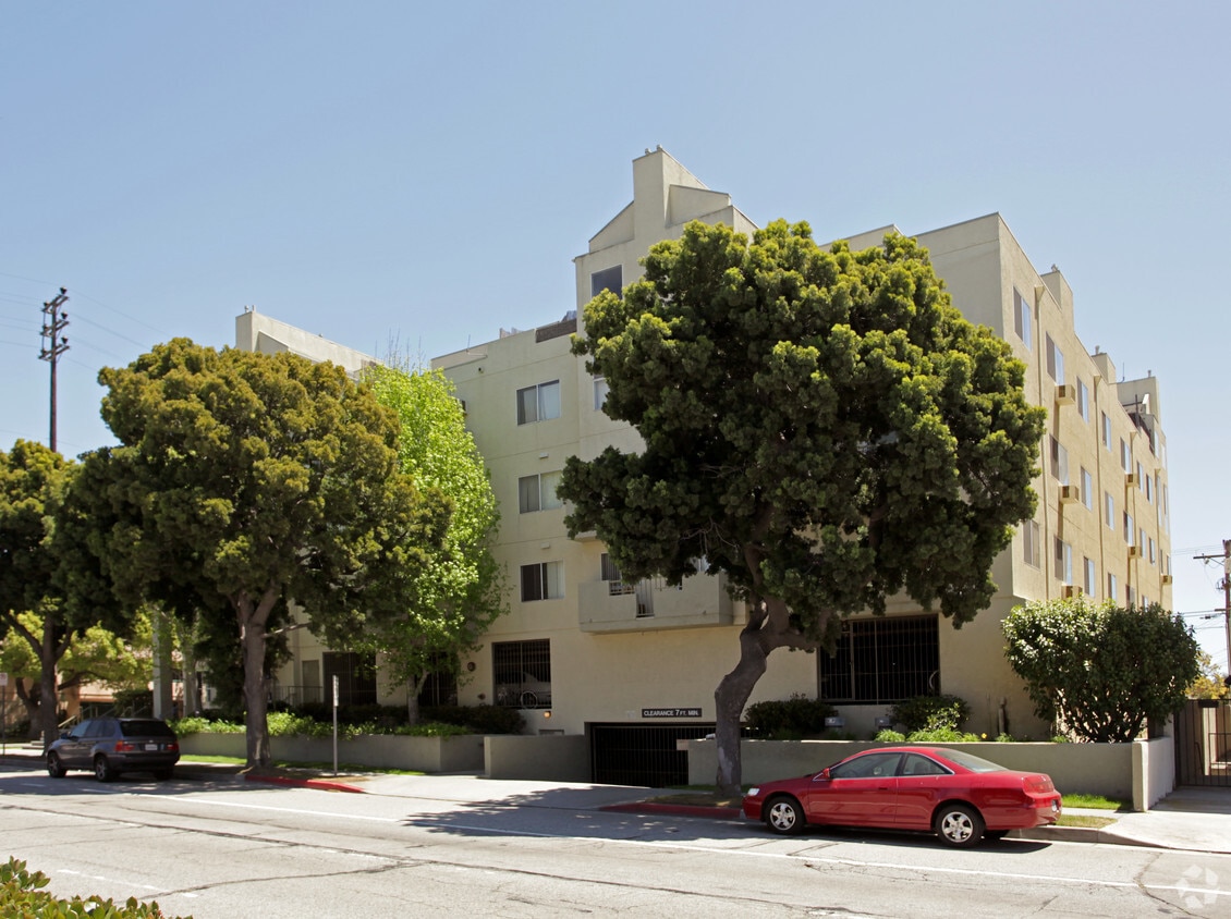 Primary Photo - Venice Walnut