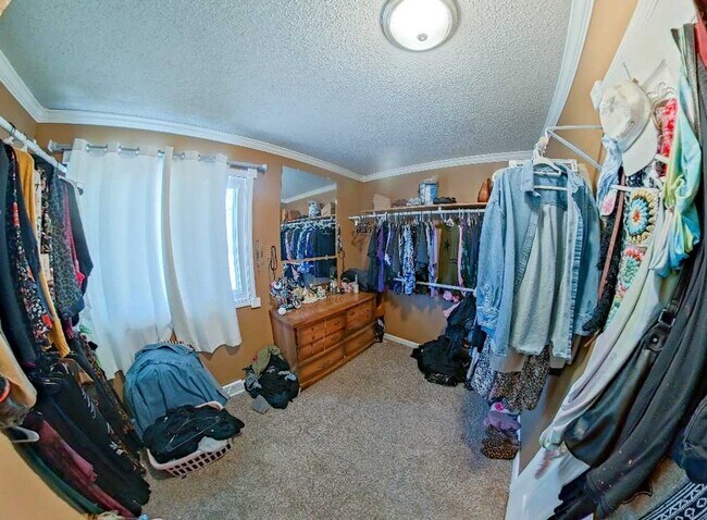 Foto del edificio - Fenced-in Yard + Finished Basement + Bonus Room/Office! Available July 3rd!