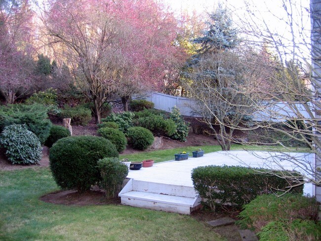 El patio trasero con terraza - 16122 70th Ave NE