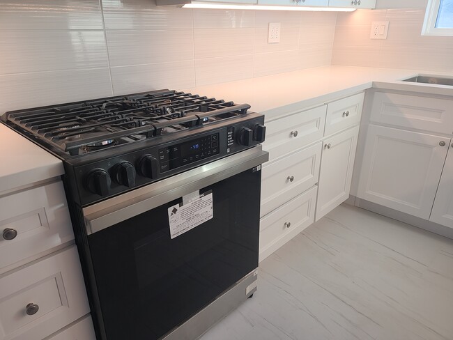 Kitchen - Samsung range - 620 W Hyde Park Blvd