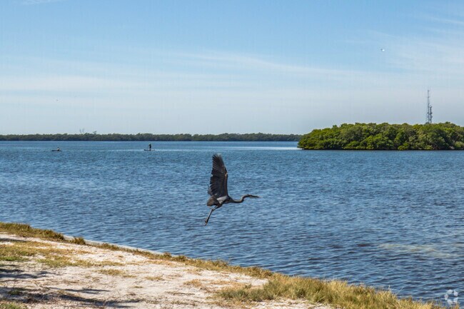 Tierra Verde is a nature lover's dream location.