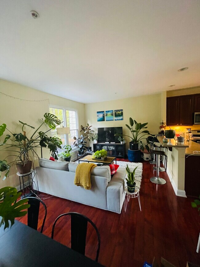 3916 Bryant Park Cir, Burtonsville, MD 20866 Townhome Rentals in