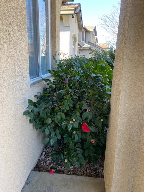 frente - 3014 Great Egret Way