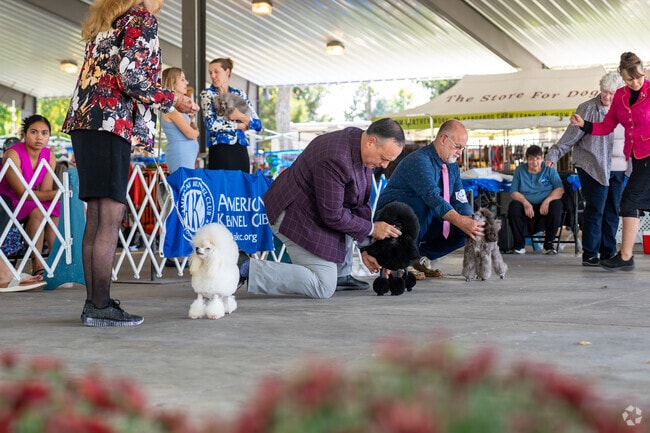 The Greeley Kennel Club 2024 All-Breed Show is a 5-day event in Clayton Park, Greeley.