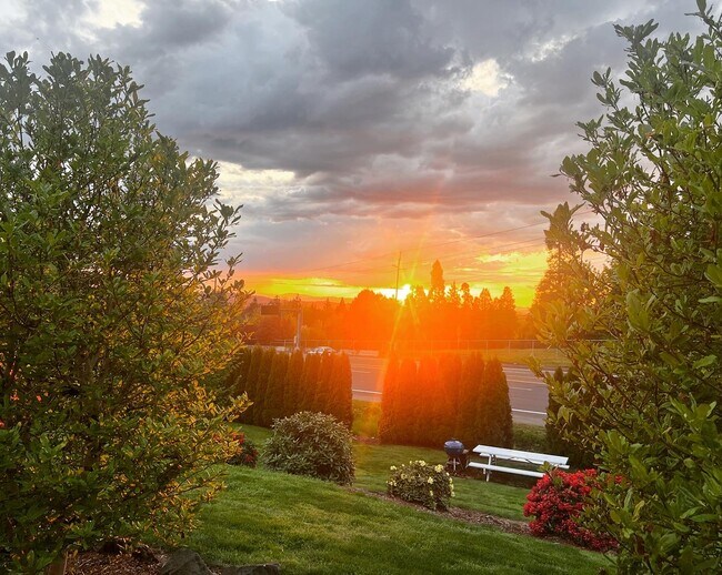 Foto del edificio - 11240 SW Barbur Blvd