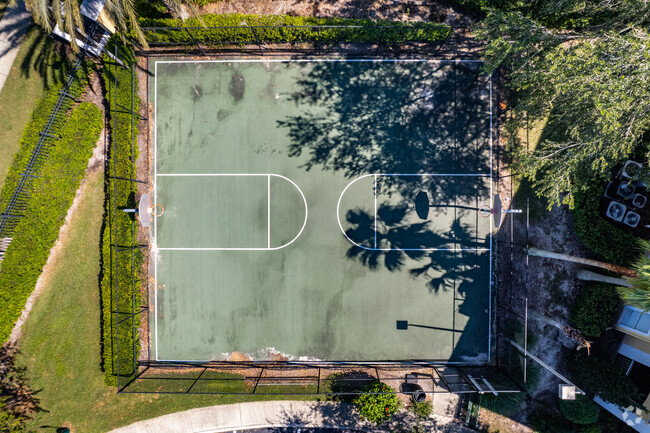 Basketball Court - Visconti